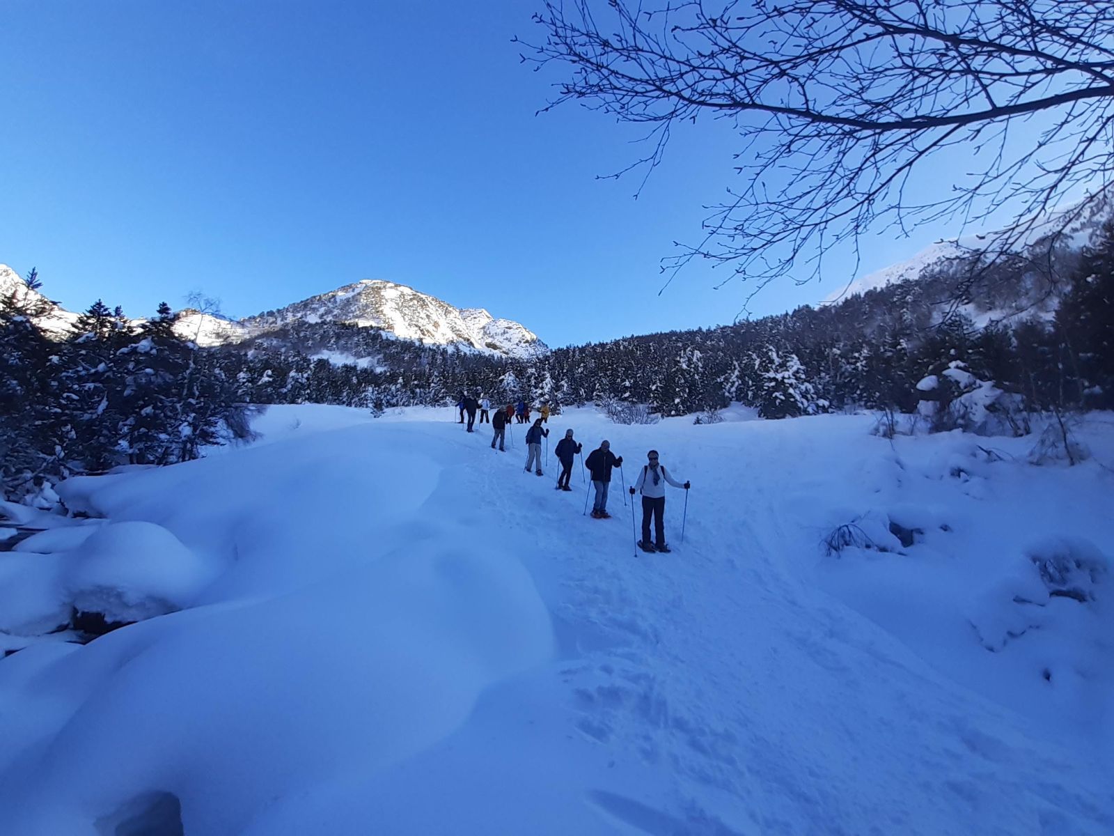 Borda Puntal ·  Parque natural