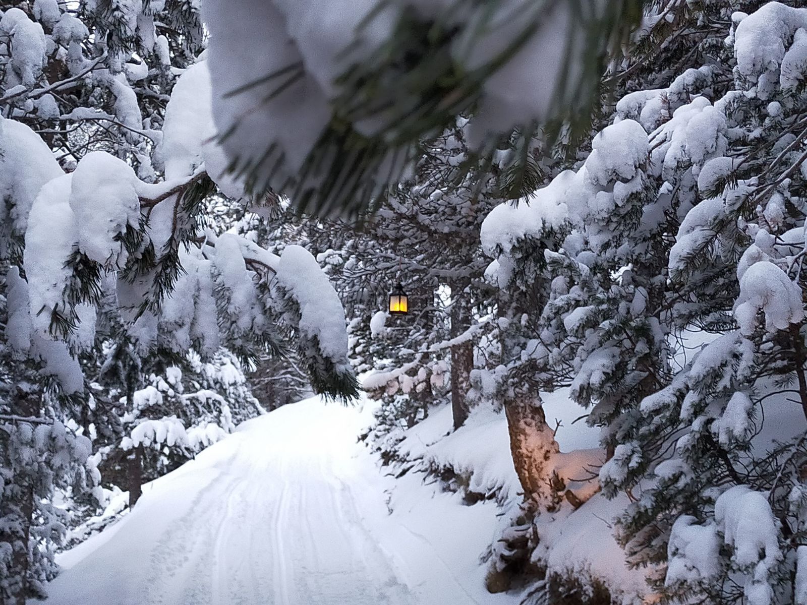 Borda Cremat · Access to Borda Cremat